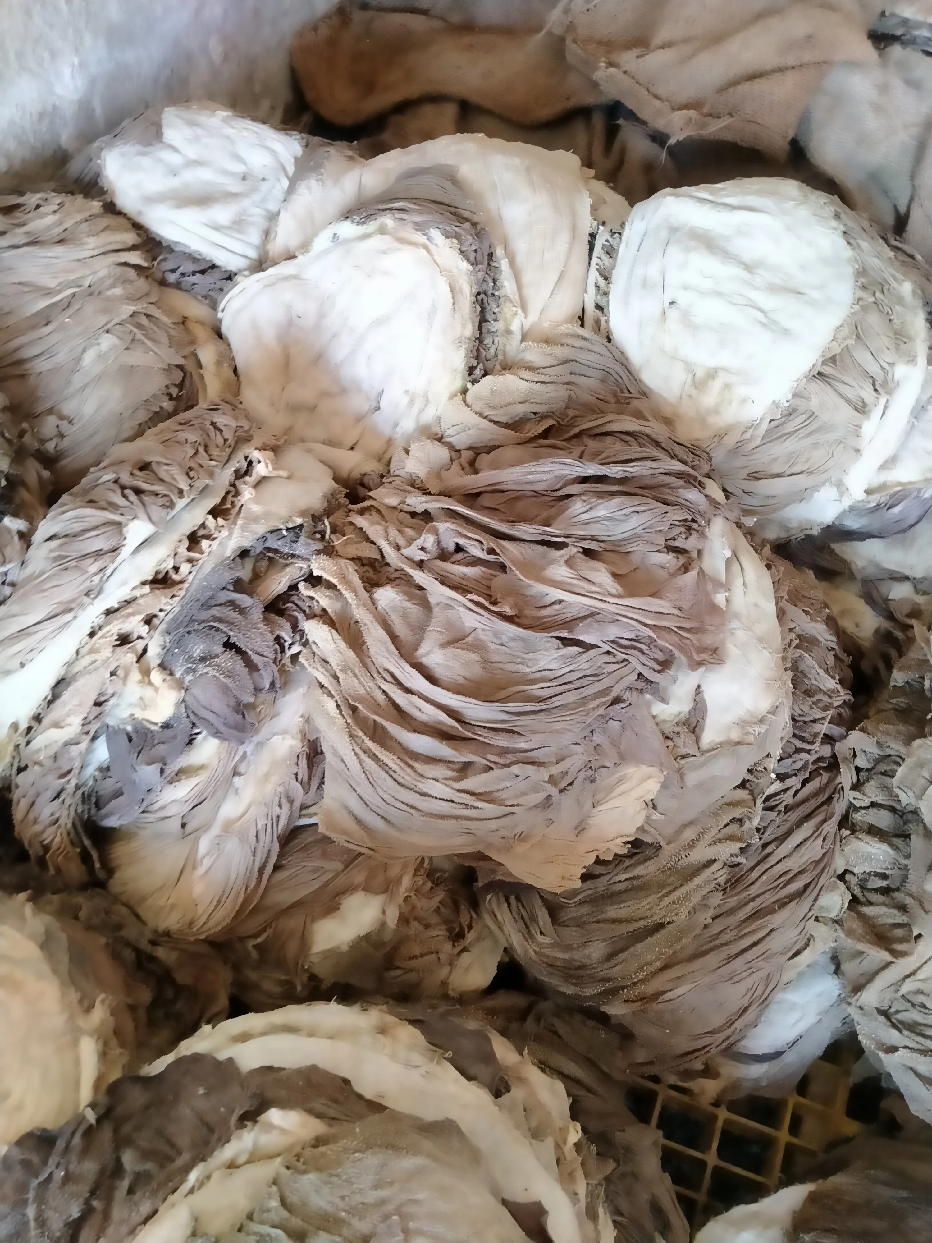 Оптовая продажа, соленая бычья говядина Omasum класса А, соленая сухая говядина Omasum