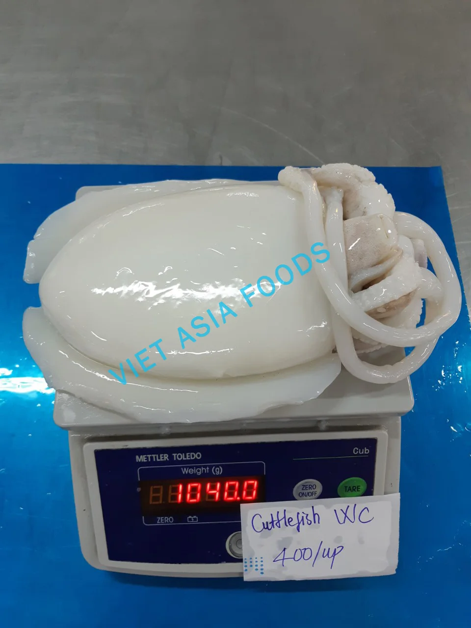 
Best Quality Frozen Cuttlefish from Vietnam 