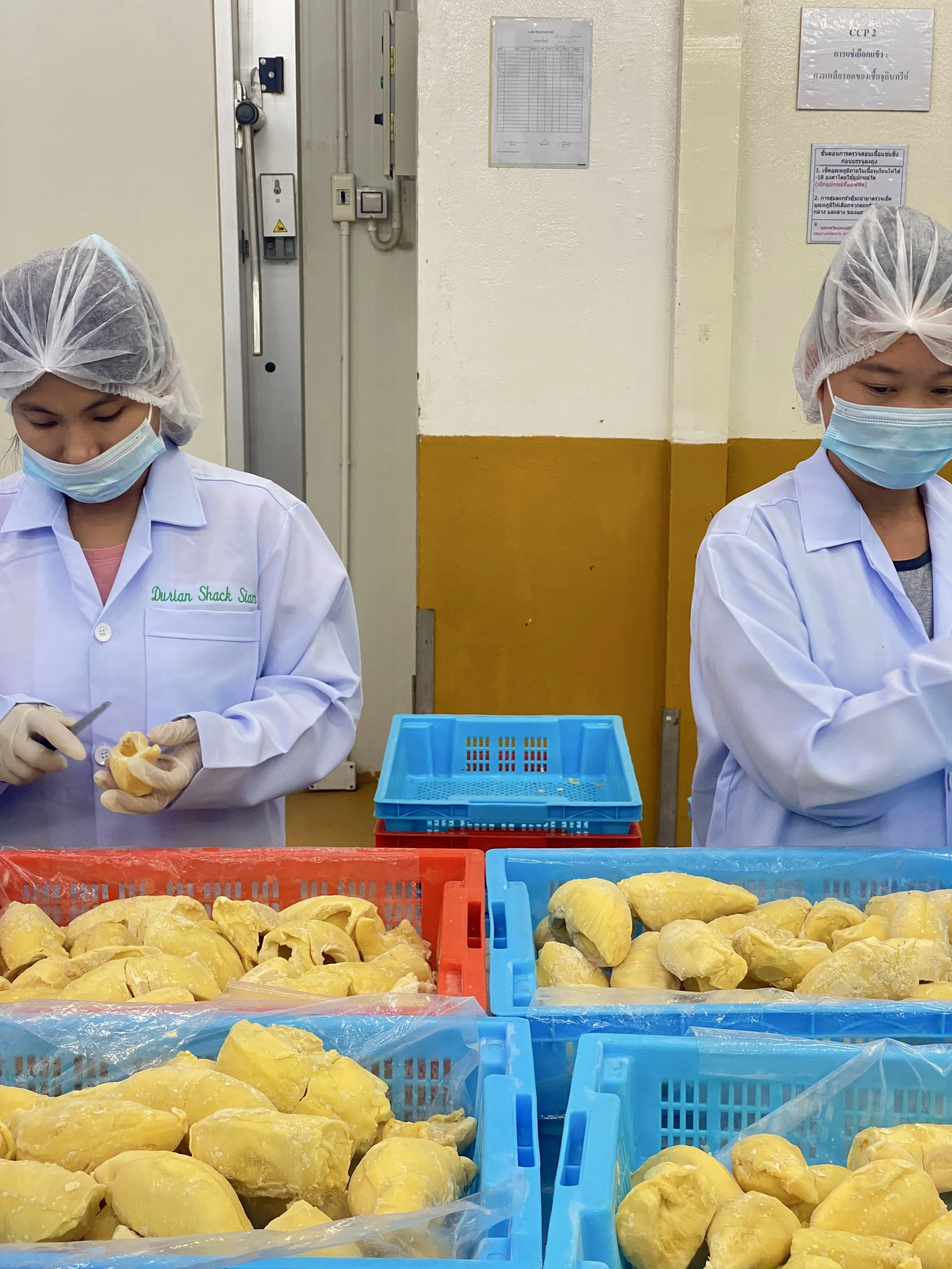 
High Quality and Best Seller Kan Yao Fresh Durian Fruits Product 