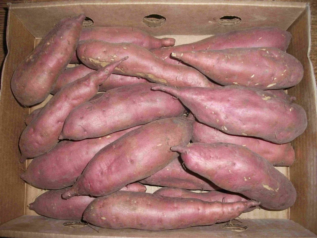 Свежий медовый Сладкий Картофель/дешевая свежий медовый сладкий картофель