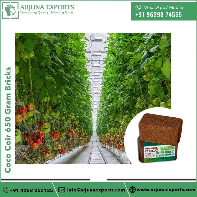 High Grade Quality With Factory Direct Supply of Coconut Coco Peat 650Gram Bricks for Spill Absorption