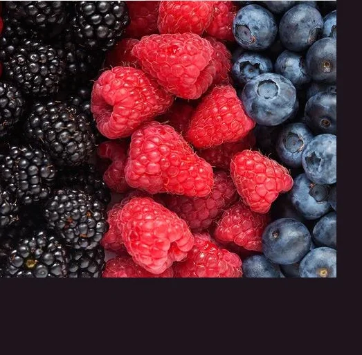 Honey  Air Cooler Evaporative Roll Bond Wiped Film Evaporator