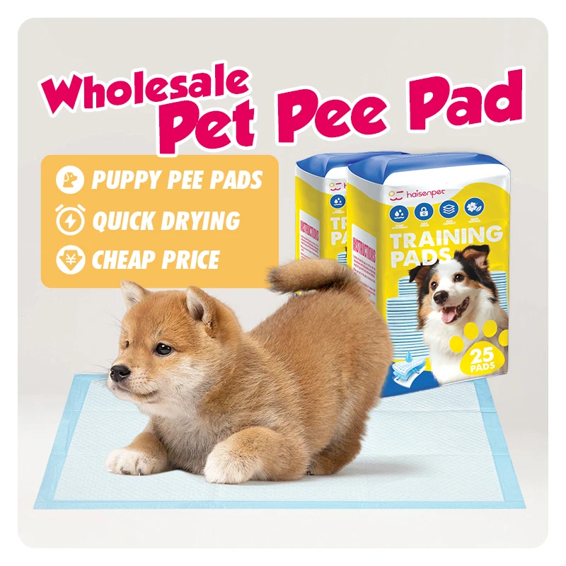 Factory OEM ODM 20pcs 40pcs 50pcs 100pcs Super Absorbent Dog Training Pee Pads