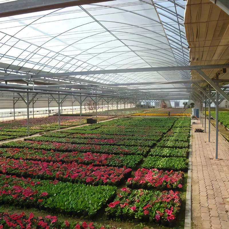 Top Sale Float Ultra White Thin Film Optical Glass Greenhouse for Strawberry/Tomato/Cucumber with Hrauponics System/Fan Boiler