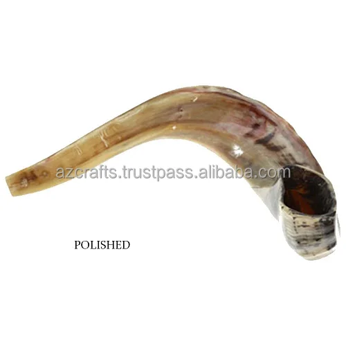  Ram Shofar из Израиля 14-16 дюймов: Кошерный без запаха ОЗУ рог-Гладкий мундштук для легкого
