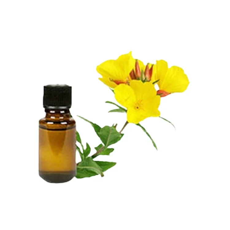Direct Factory Bulk Price Selling 100% Natural Ingredients Content Evening Primrose Carrier Oil for Global Buyers
