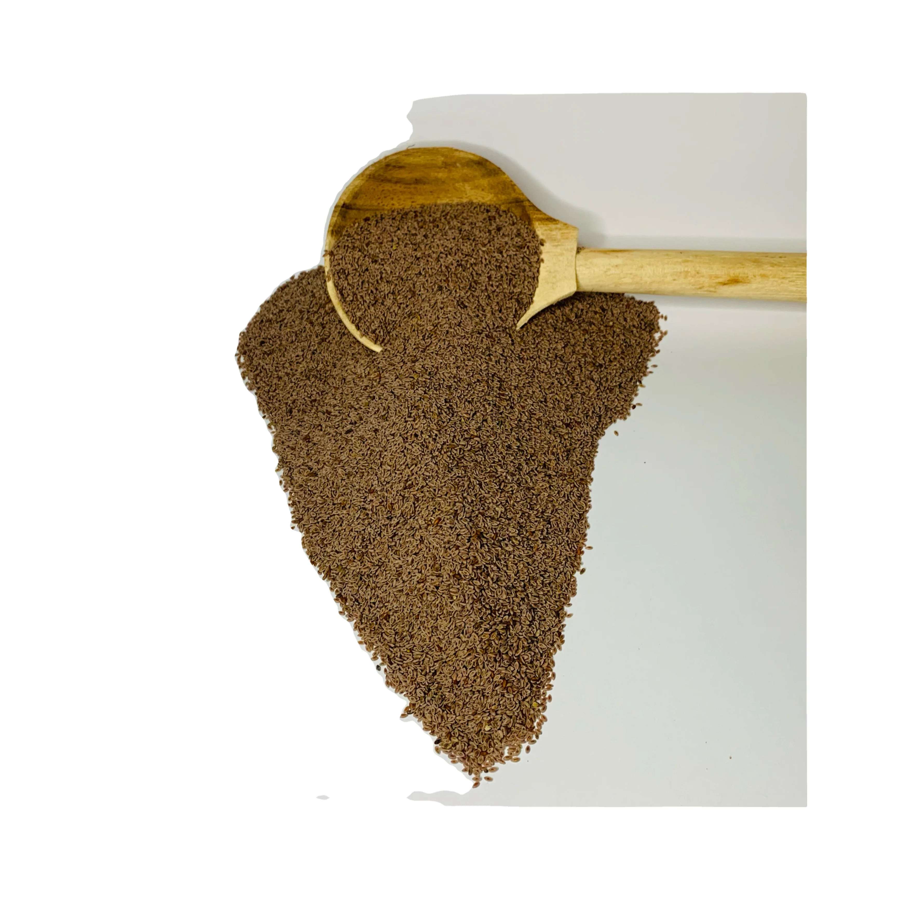 Organic Psyllium Seed Premium High Quality Pure Extract 99% Wholesale Bulk Quantity Retail Best Price Best Quality
