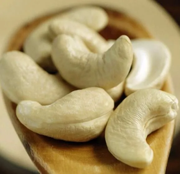 BIG SIZE W180 HOT SALES VIETNAM CASHEW NUT FOR EXPORT +84967851111