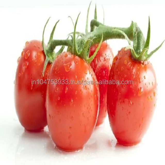 Tomato -Taste the depth of deliciousness.