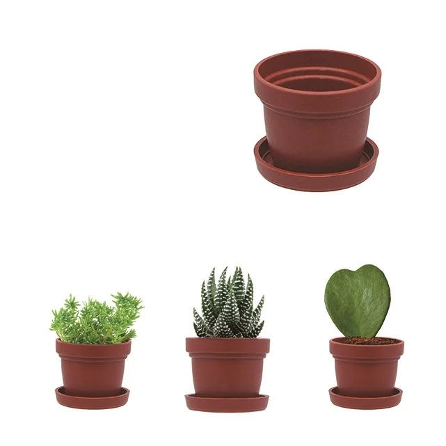 Min planter pots for potted succulents