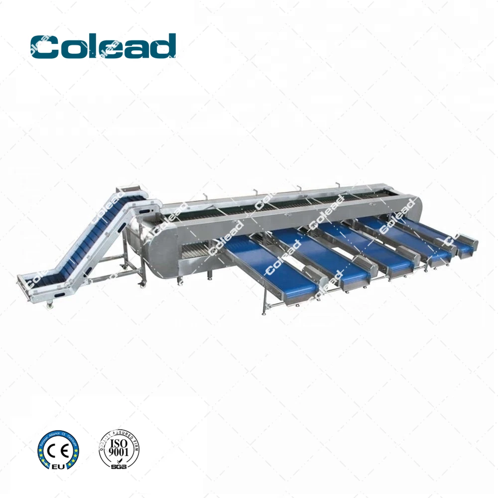 Tangerine Grading Machine for fruit processing line