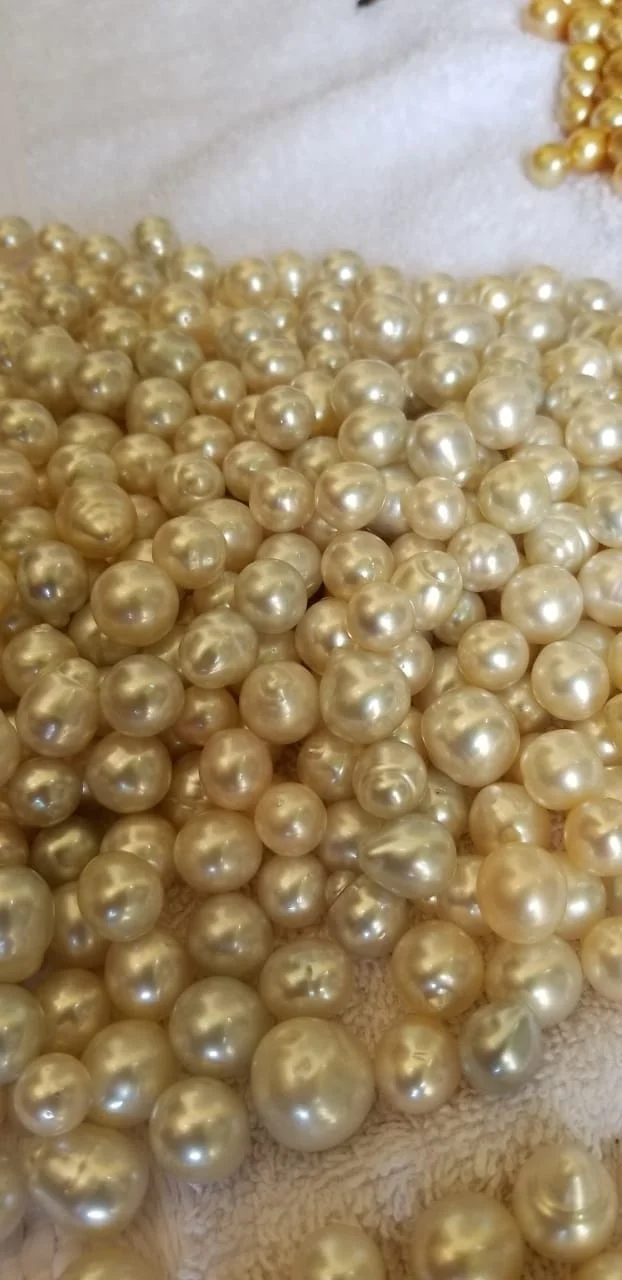 
LOOSE DROP SHAPE SALTWATER SEAWATER SOUTH SEA PEARL 