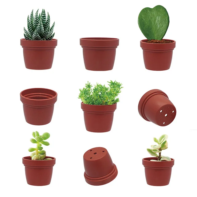 Min succulent pot and tray holder