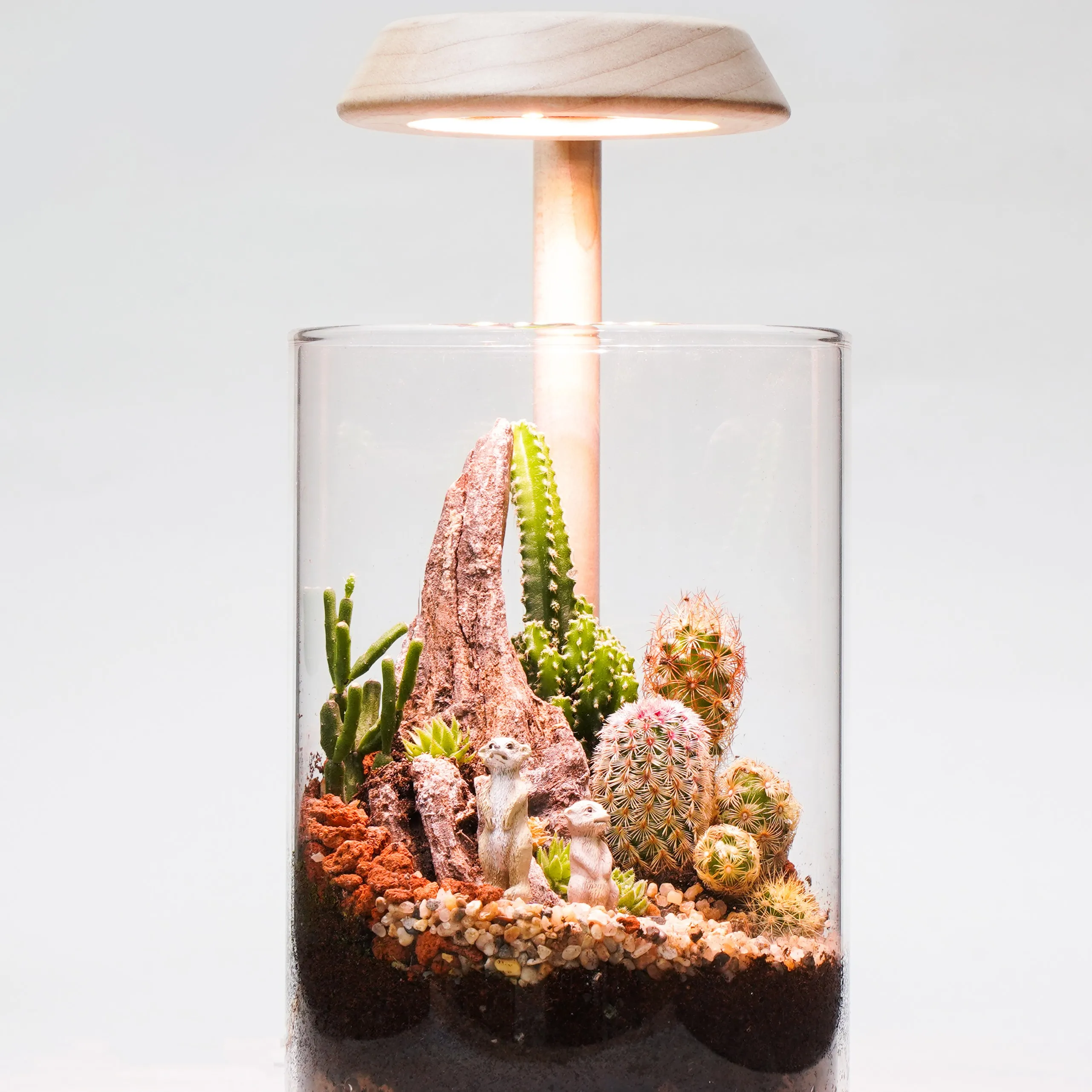 [2.9R] Custom LED Smart Grow Light Wooden Plant Desk Lamp Home Morden Luxury for Planted