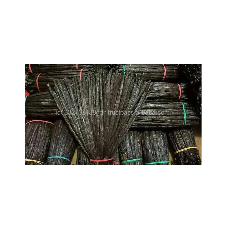 Premium Madagascar Vanilla Beans Vanilla Planifolia and Tahitenses From Indonesia