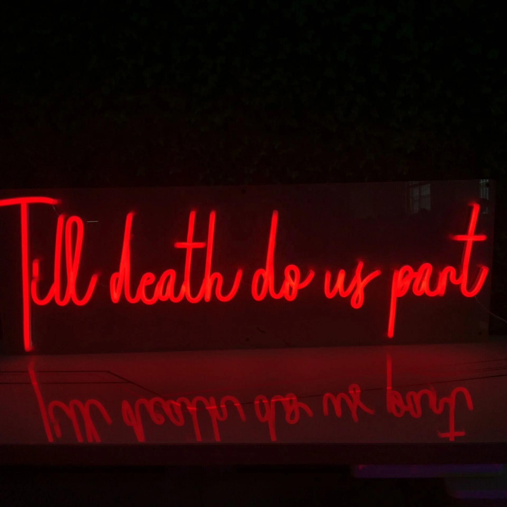 Winbo Wall Art Sign Bedroom Decoration Rainbow Hanging Fashion Custom Neon Animal Lights Night Lamp Led Neon Light For Home