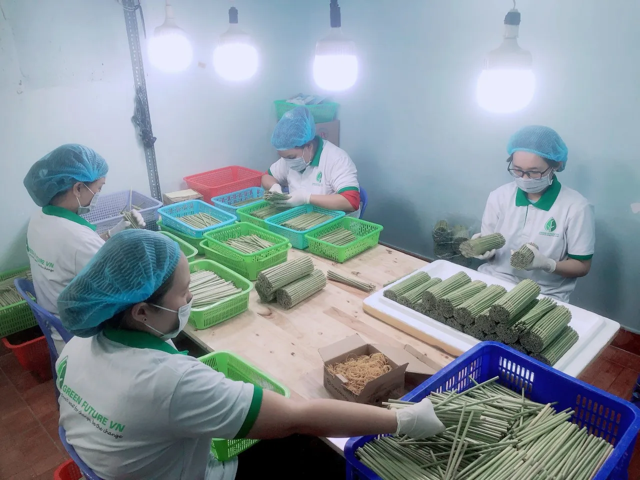 High Quality Disposable Biodegradable Round Grass Straws Eco-Sustainable Drinkware Accessories for Bar Use USA Market