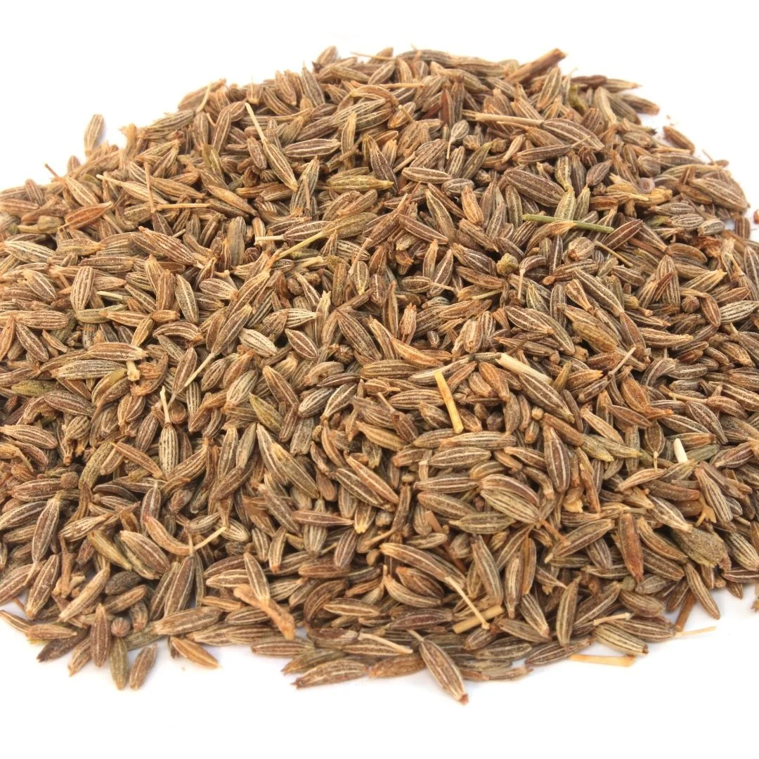 Export Natural Organic Cumin Seeds wholesale Price Spice Herbs Food Grade Cumin Seeds In Bulk Quantity
