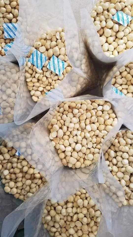 TOP EXPORT 2024 MACADAMIA NUT BEST PRICE PREMIUM QUALITY
