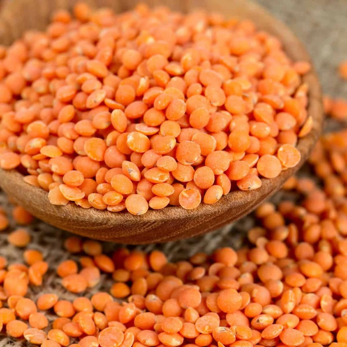 Premium Quality Best price export green red Lentils Masoor Dal