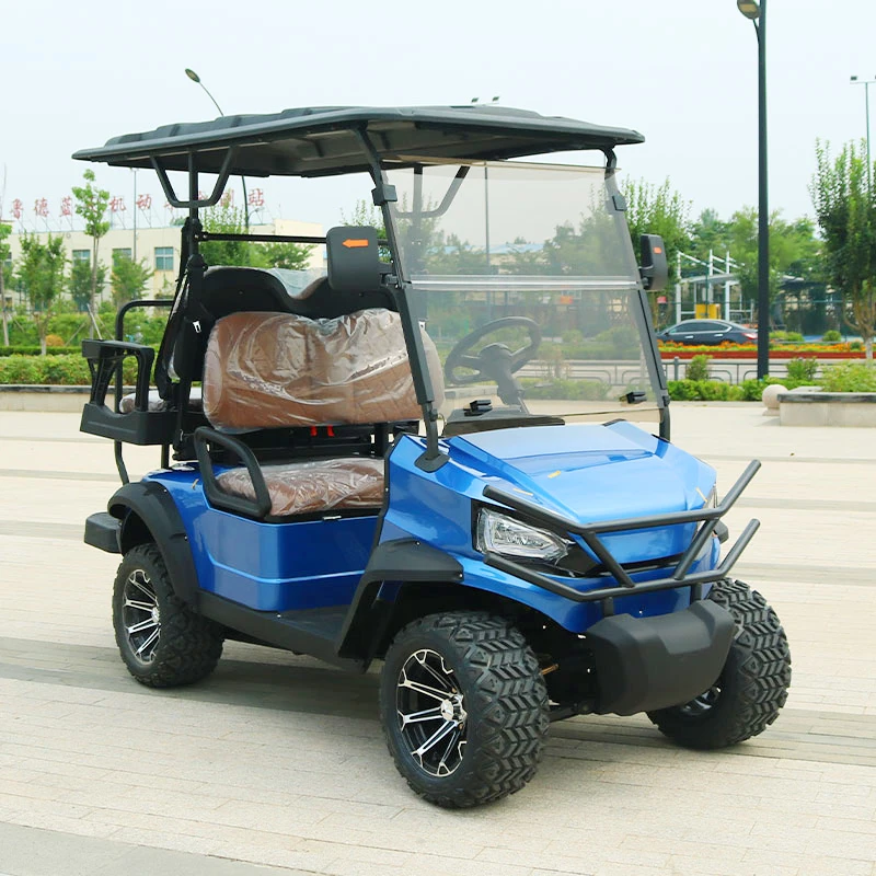 Factory Supply 2/4/6/8 Seater Off Road Electric Golf Cart 5KW AC Motor ODM Service for Exclusive Brand Agent Electric Golf Carts
