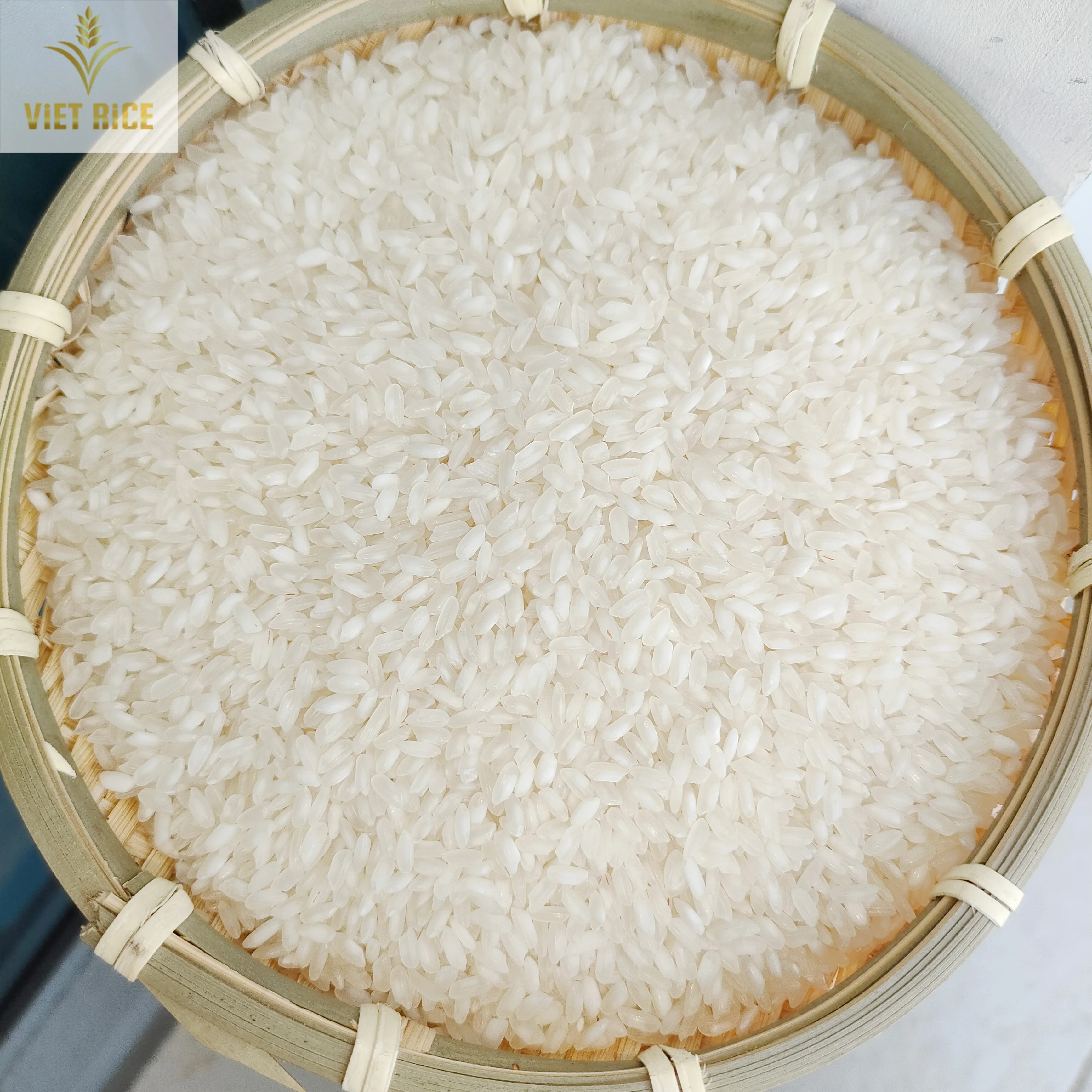 EGYPTIAN CAMOLINO RIZ 5% broken-premium MEDIUM grain white rice supplied from a Vietnamese leading rice manufacturer ad exporter