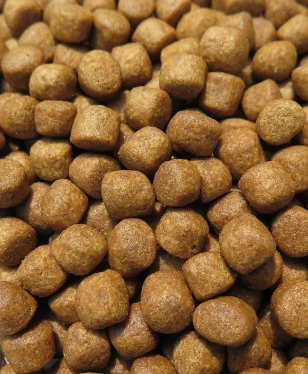 Feed specialized for marine fish  - MARINE FISH FEED (FLOATING AND SINKING) - for marine fish 20kg/bag export from Vietnam
