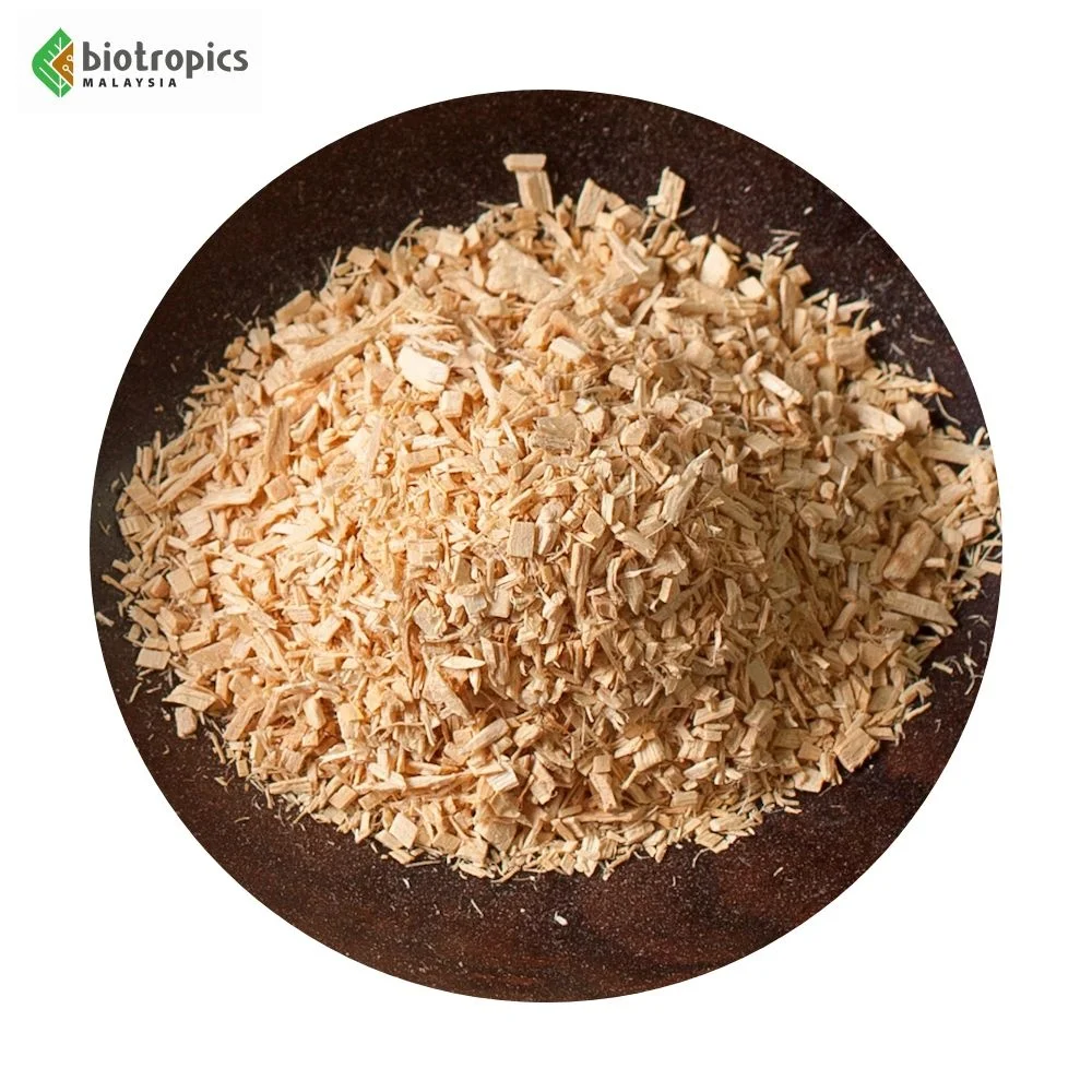 New Arrival Malaysia Tongkat Ali Root Extract Powder PG5 as a Natural Energy Enhancer