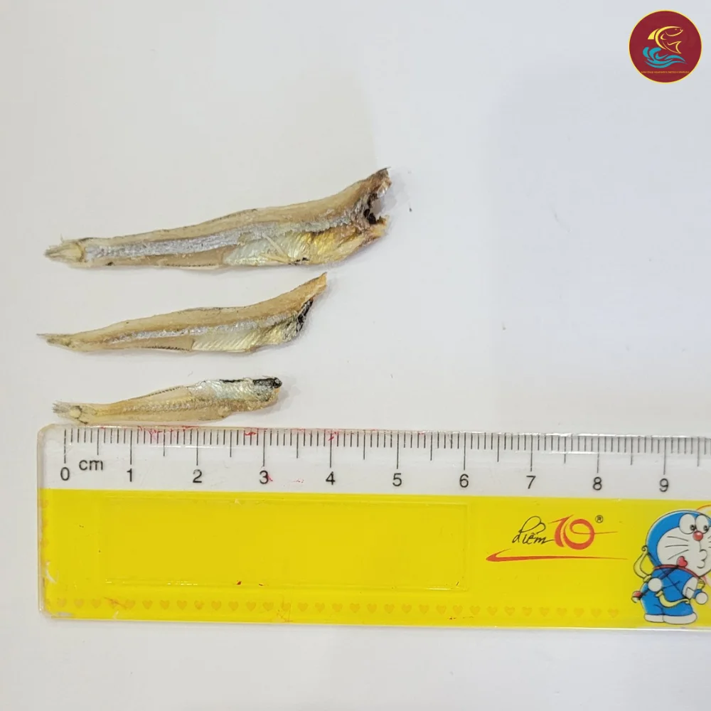 Good Price on Japan Dried Anchovies Healthy Seafood Snacks in Bulk Whole Raw Fish Preserved with Salt Frozen Style