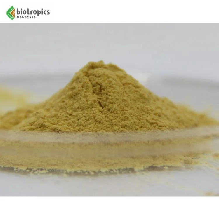 Clinically-Researched Malaysia Tongkat Ali Extract Physta Ingredient Ready for Formulation in Men Supplements