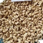Vietnam ISO/HACCP Certification W320 Raw Cashews bulk supply Quality cashew nuts