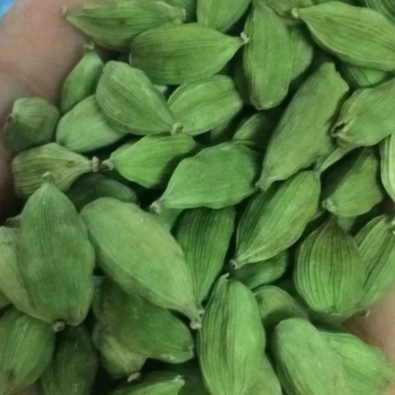 Specification Green Cardamom High Grade Best Quality - Whatsapp : +91 9176416331