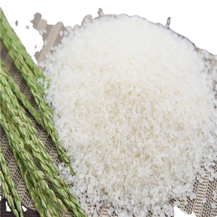 PREMIUM QUALITY JAPONICA RICE GOOD PRICE