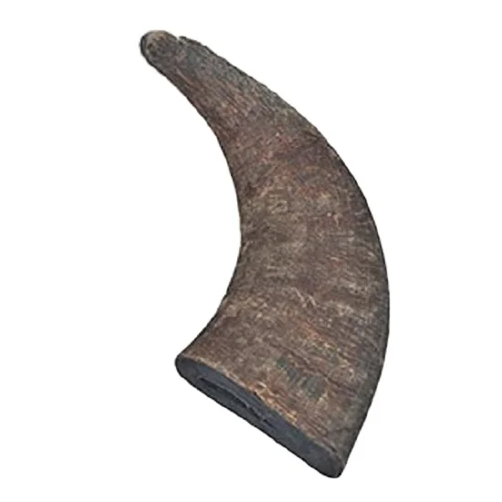 Quality and ox and Buffalo Horn Tip for sale at very polished customized horn tips with natural craft