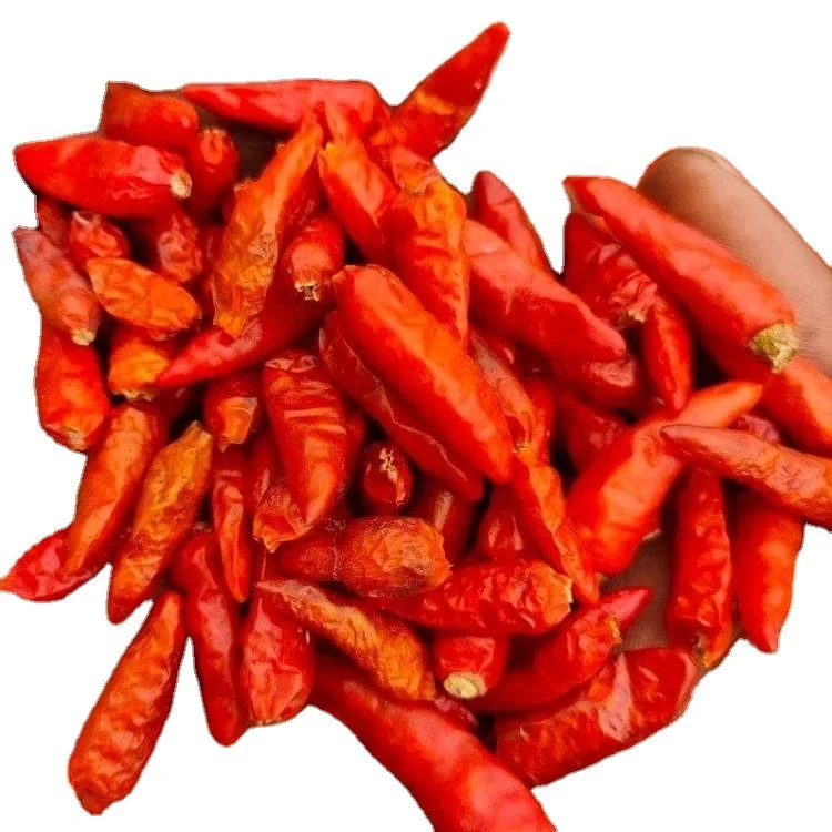 Eatable High Quality Pakistani Dried Red Chilies Premium Quality Dried Chilli Spices & Herbs Spicy with 1 Year Shelf Life 20 Kg