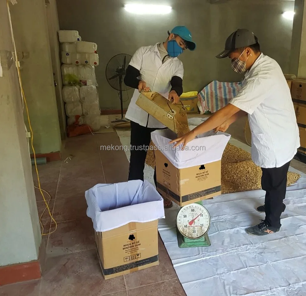 Wholesale Cheap Bulk Clean And Pure Hand Selected Benzoin Gum/ Benzoin Siam Resin For Oil From Viet Nam
