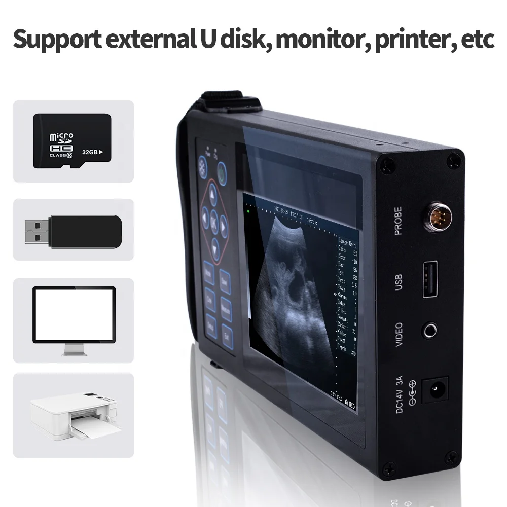 A10 ручной цифровой портативный Usb ноутбук устройство для домашнего животного Sonoscape ультразвуковой сканер инструменты Vet ультразвук
