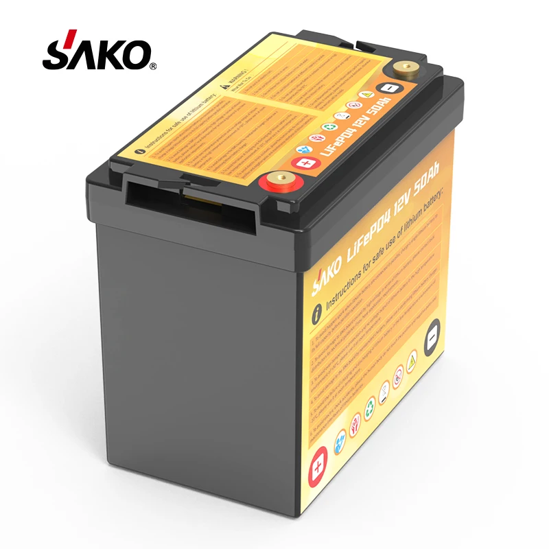 12V 24V LiFePO4 pack 50A 100A 200A  Lithium Battery Pack to Replace Lead Acid Battery Solar Storage Battery