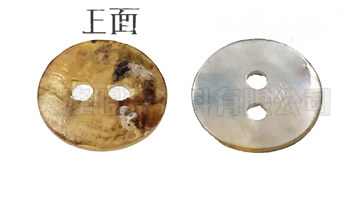 shell button texture bright color surface two hole thickness shell buckle for shirt