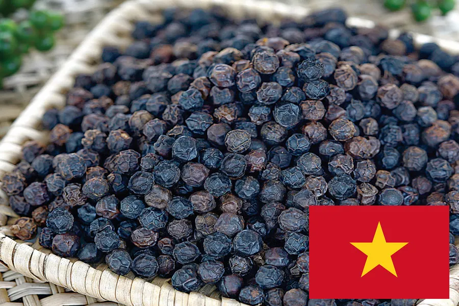 Сертифицированный вьетнамский продукт для высушенного черного перца из Вьетнама (Мобильный/WA: + 84986778999