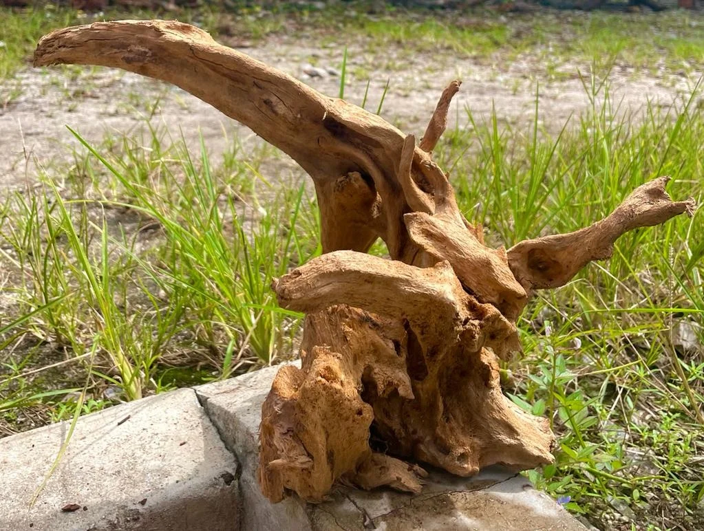 Best Selling Driftwood Malaysia Huge Shape Round Tank Decoration Terrarium Aquascape Nano Mangrove Roots Aquarium & Accessories
