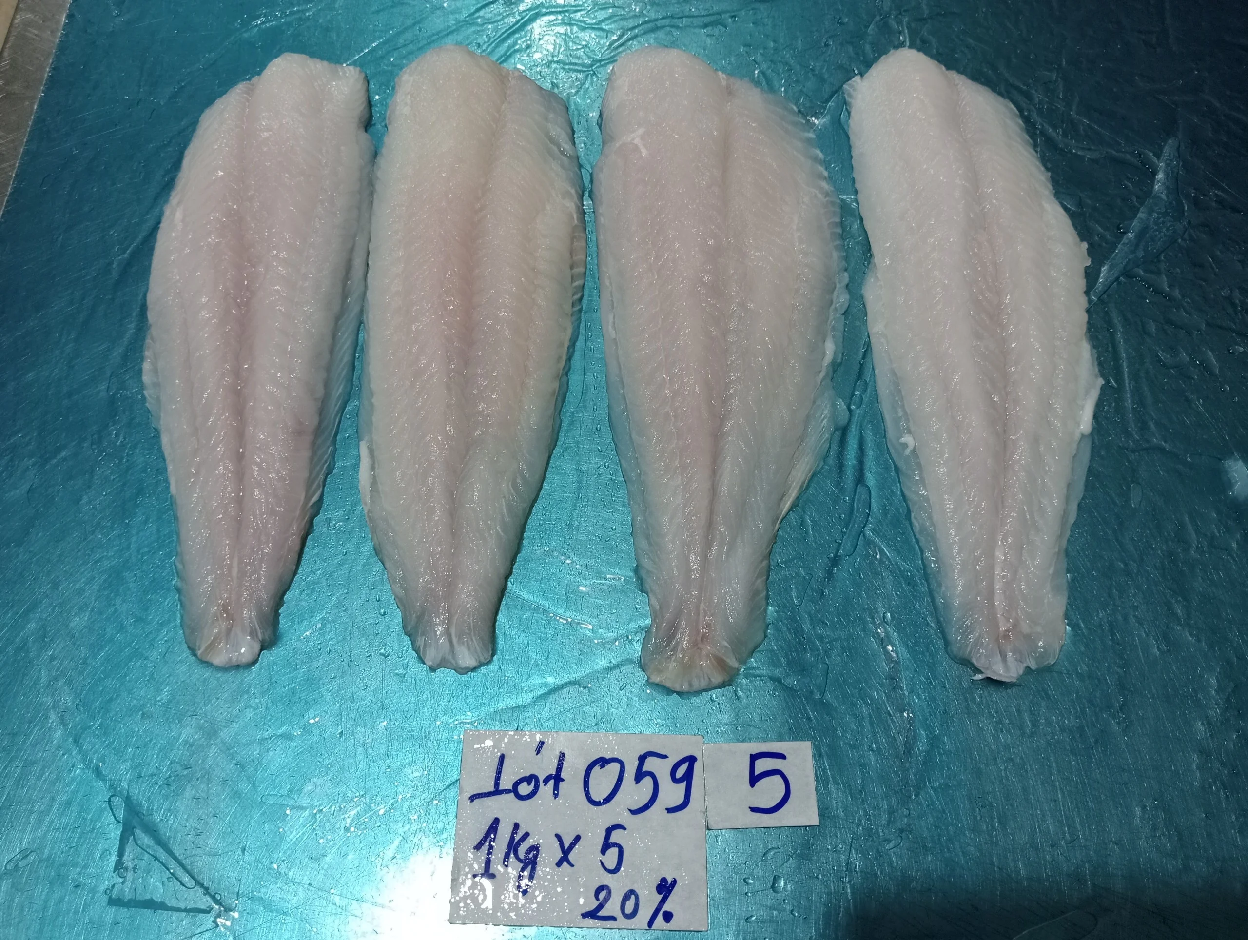 Best quality Seafood Pangasius/ Basa fillet from VietNam