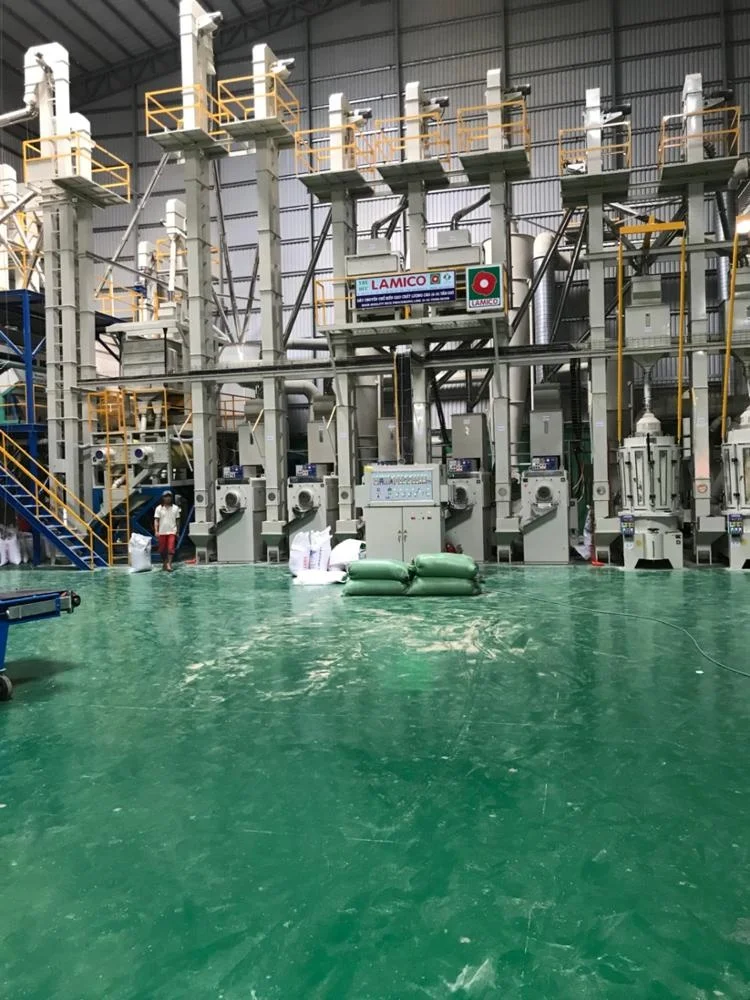 Среднезернистый белый рис 5% сломанный (BINH THUAN T41) ВЬЕТНАМСКИЙ РИС из Вьетнама высокое качество разумная цена