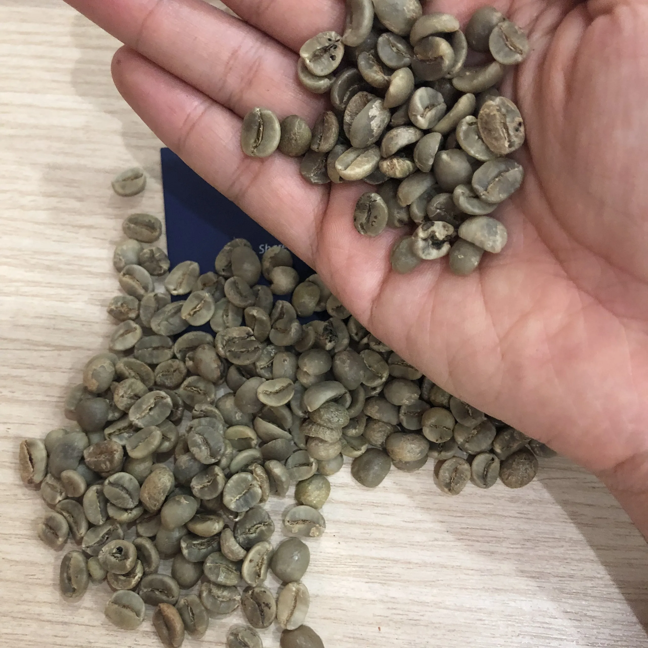 ROBUSTA и ARABICA зеленые кофейные зерна по лучшей цене от VIET NAM MS Emily + 84964660879