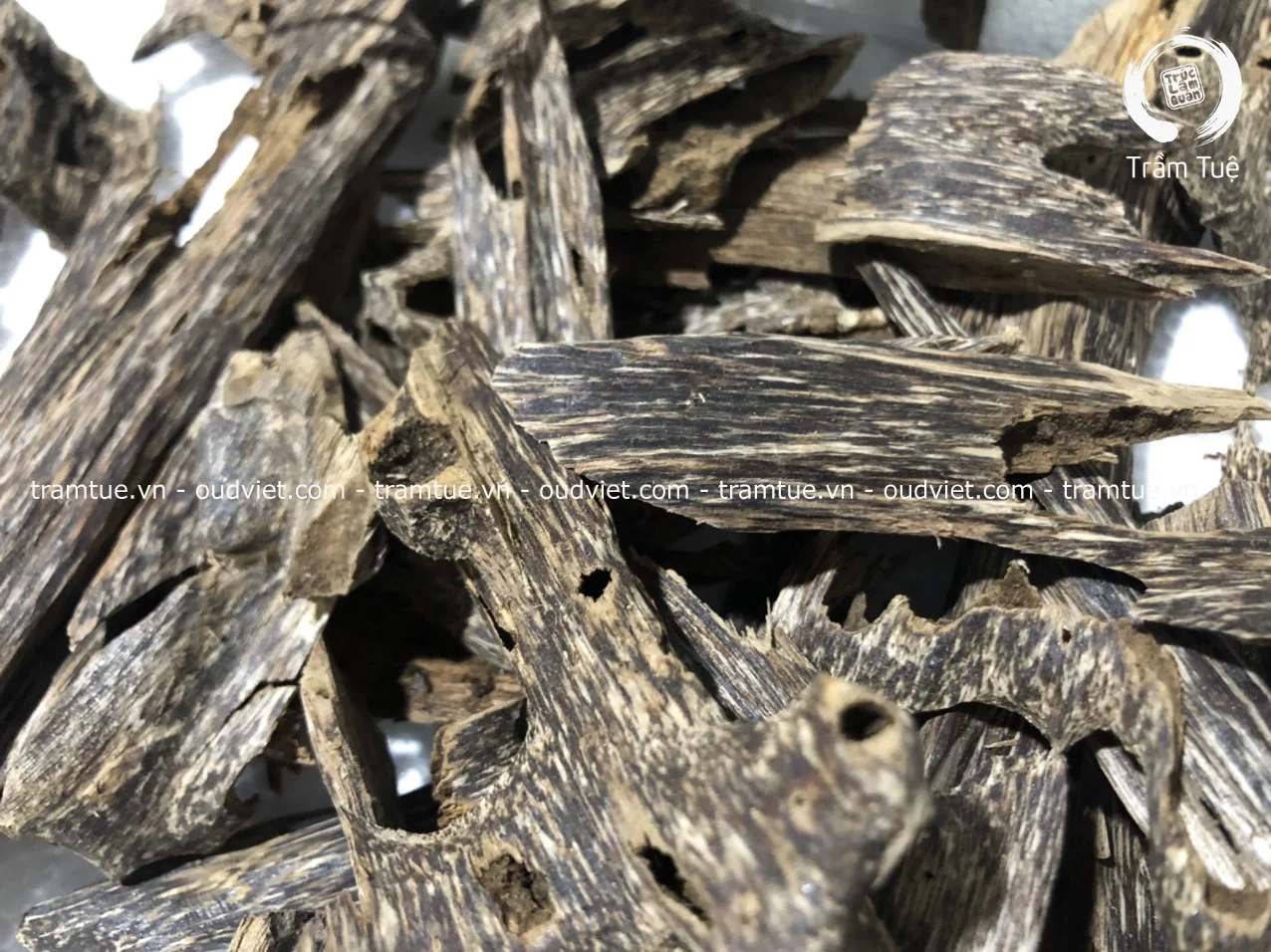 Vietnamese Hot Whole Sale High-quality Natural no Chemical Oud Agarwood Chips Pieces for making Oudh Incense Cone, Stick, Coil