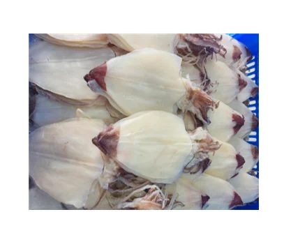 Dry Calamari Seafood Dried Korean Soul Food Made By Drying Small Squid in Korea Best As A Drink Side Dish Snack Delicious Chewy