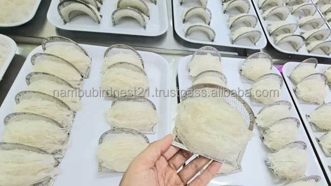 (Mr Nam Bu) - Premium 100% Premium Quality Edible Dried Bird Nest From Viet Nam - Edible Birds Nest Cooking