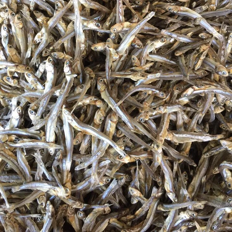 Anchovy Fish soft dry ready for export from Viet Nam