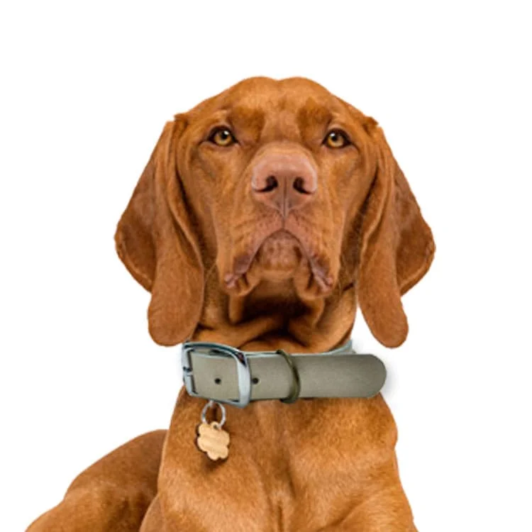 Широкий сверхпрочный плоский роскошный ошейник из воловьей кожи ручной работы серебристого цвета для собак роскошный ошейник для домашних животных