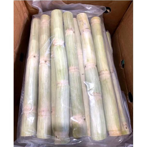 Best Selling Agriculture Products Wholesale Frozen Sugarcane From Vietnam